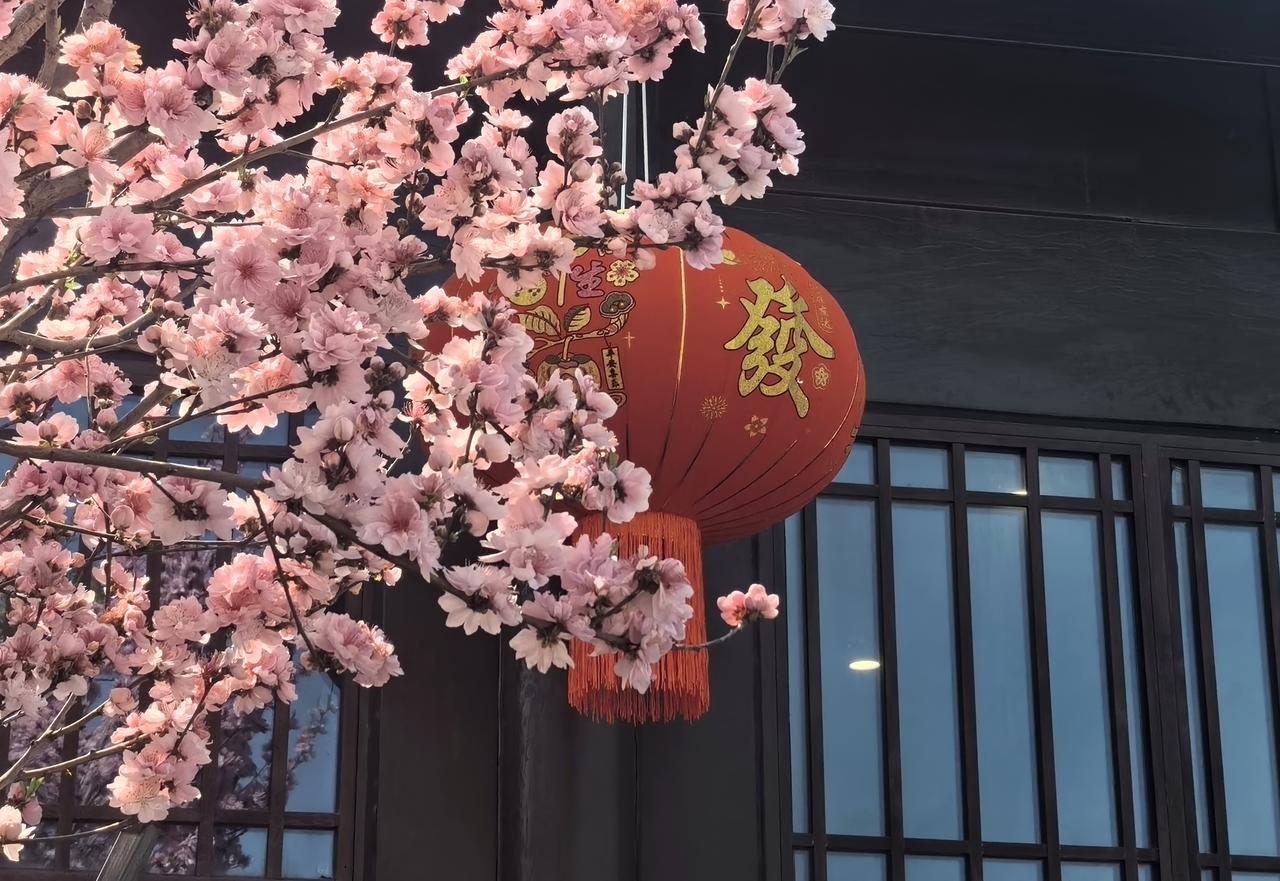 七绝·桃花湖
湖边枝外簇生新，
树下寻芳踏翠人。
绿柳行云浮静水，
烟霞半幅画平