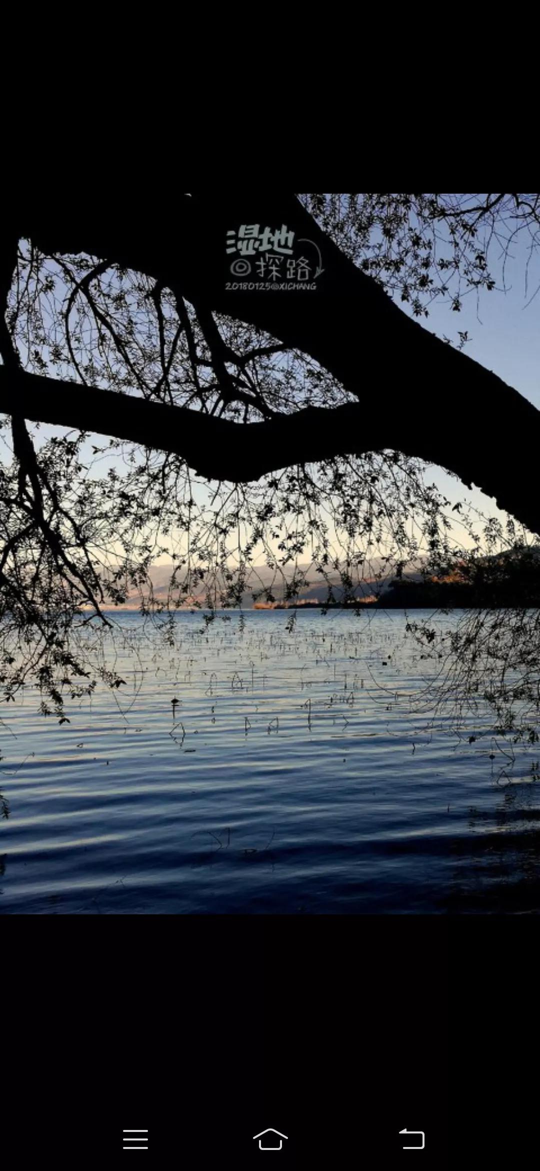 美俄终于沦落为一路货色！俄罗斯面对外来威胁，不管外界用什么狠招，他不急也不恼还以