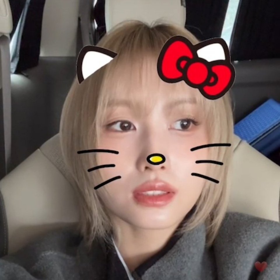 🐱🎀 