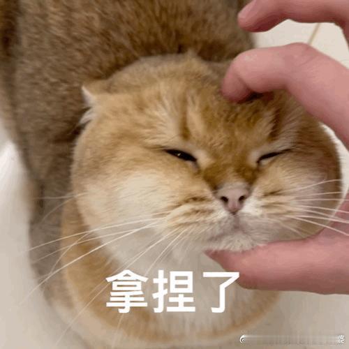 特朗普下令打击委内瑞拉境内目标打吧，我们的机会又来了。未来，特朗普一定会后悔他今