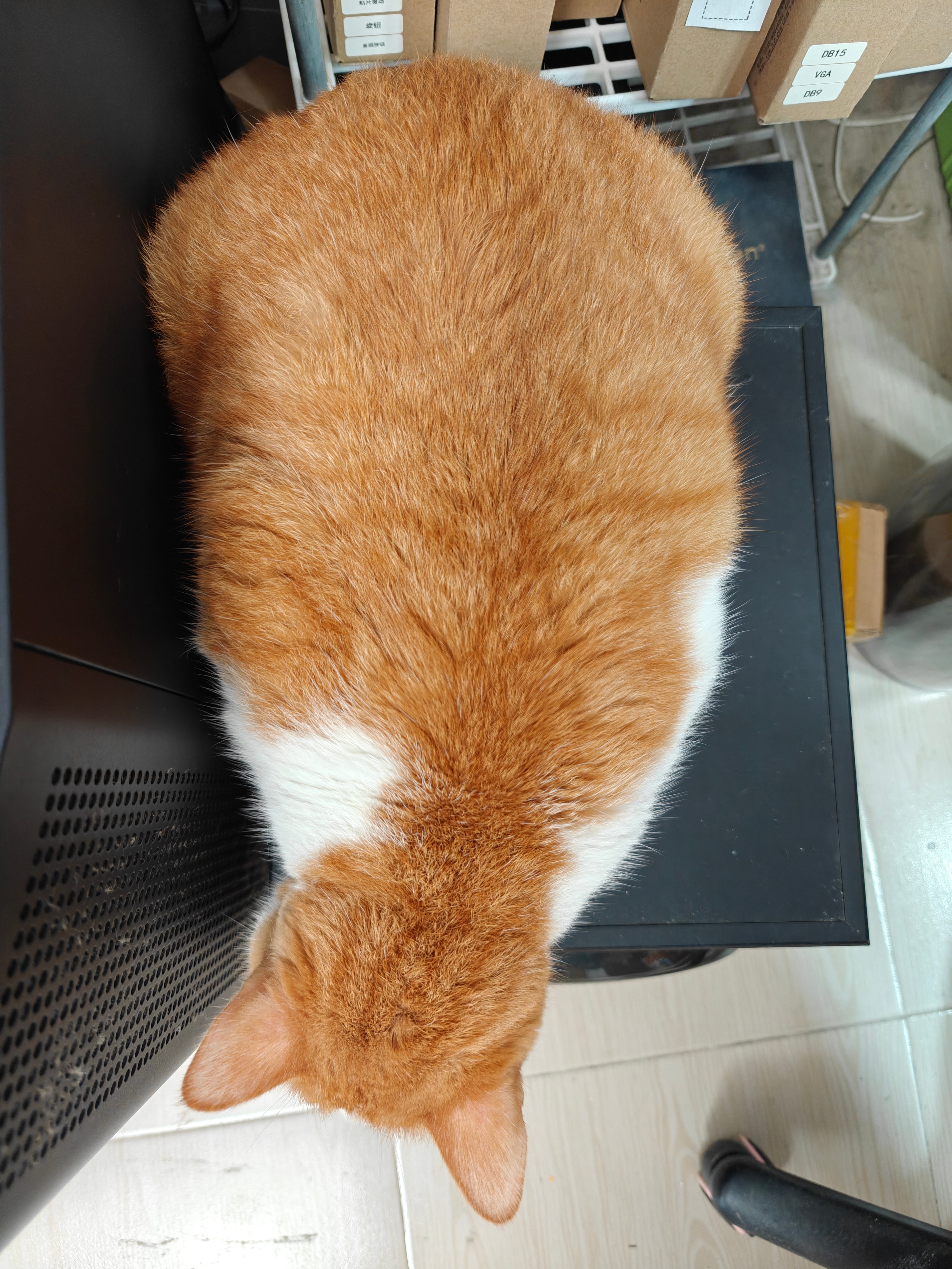 大卡车来了这个是 