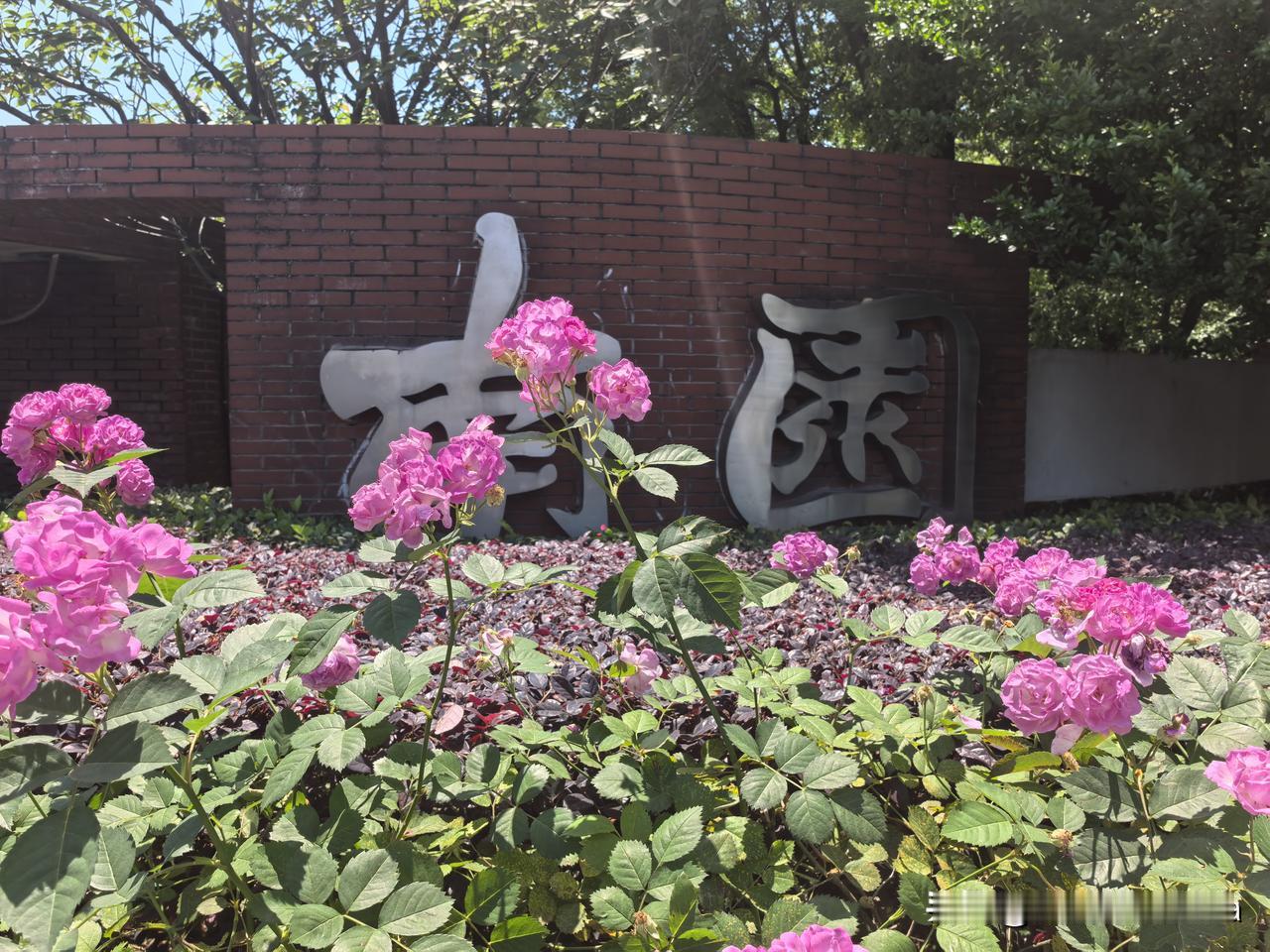 今早和老公地铁出行到绿地缤纷城才10点出头，而预约的时间是11点半。就先到马路对
