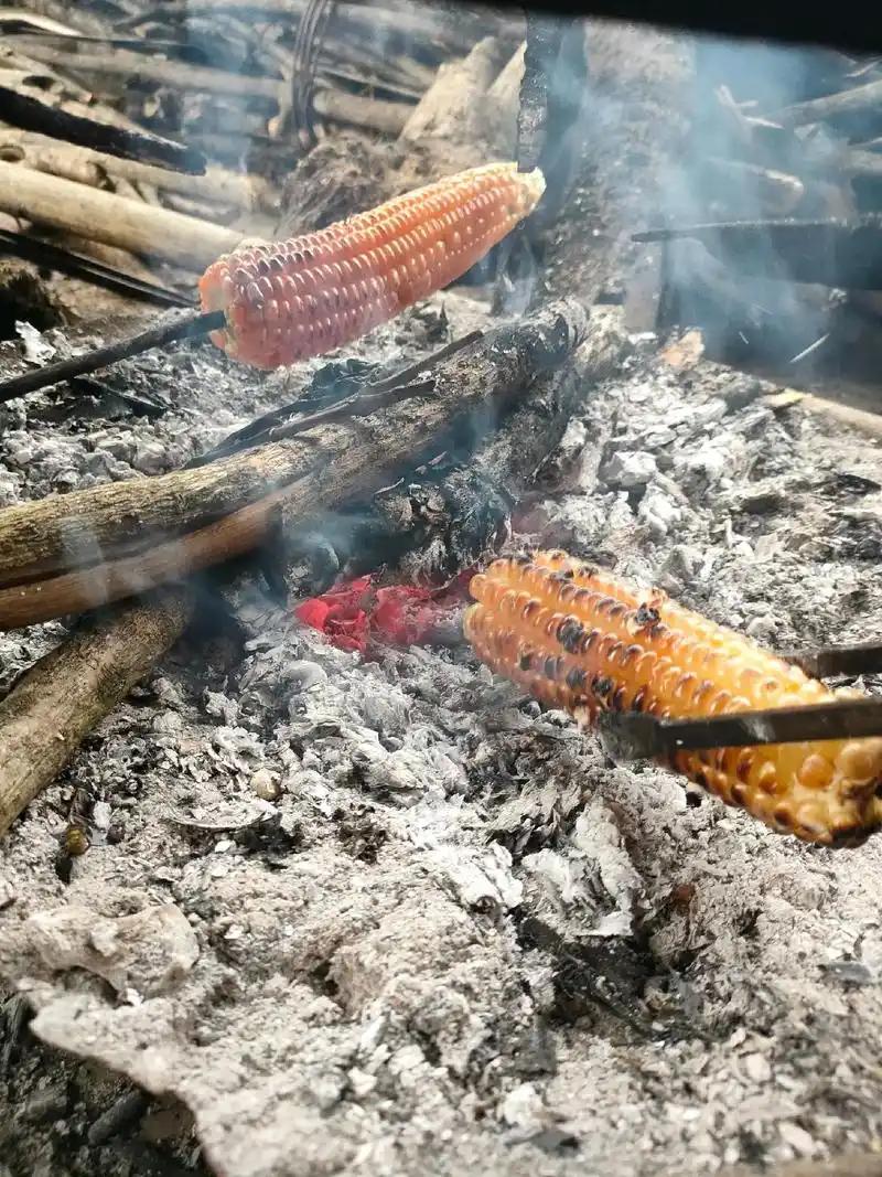 玉米粒当柴烧不能简单判定是创新消费还是浪费行为。

从创新消费角度看，它为餐饮带