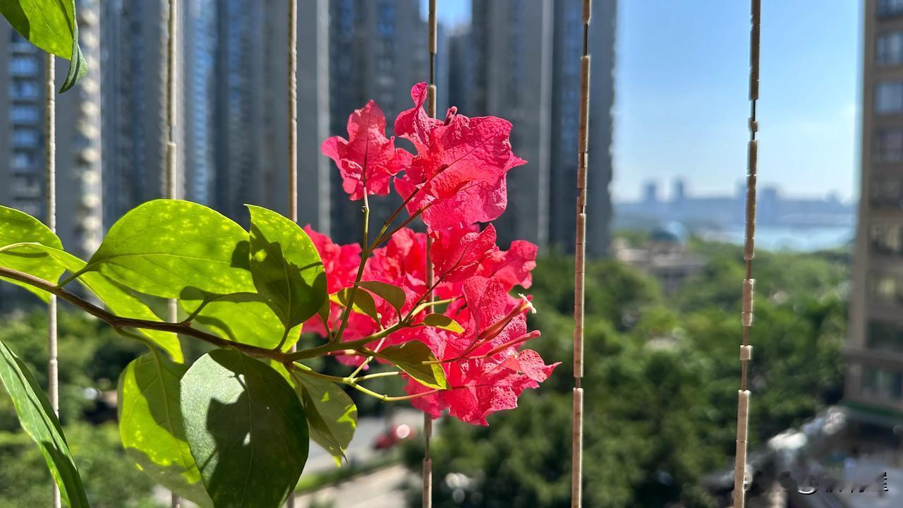 现在真正进入秋天了，白天可以不用开电风扇，更不用说开空调了，但是晚上睡觉还得开空