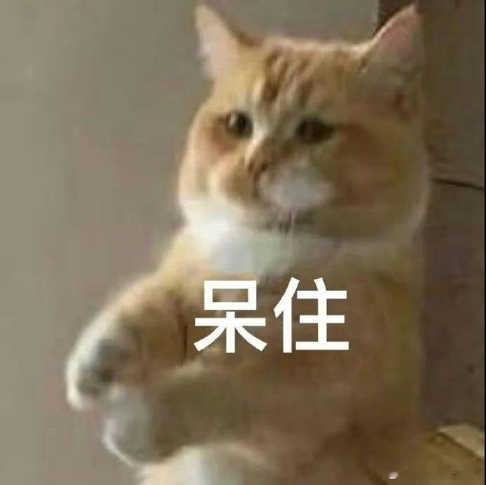 大吉胡咧咧 挟恩不图报81“从片子上看，恢复还是挺好的，制动有四个多月了吧，主要
