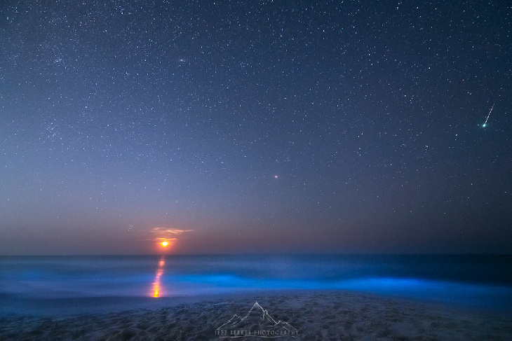 #每天一天文图# 英仙座流星雨与🌙[爱橙橙] ​​​