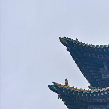 #每日一善[超话]#朱茵说：“如果那个人真的那么爱你，你是走不朱茵说：“如果那个