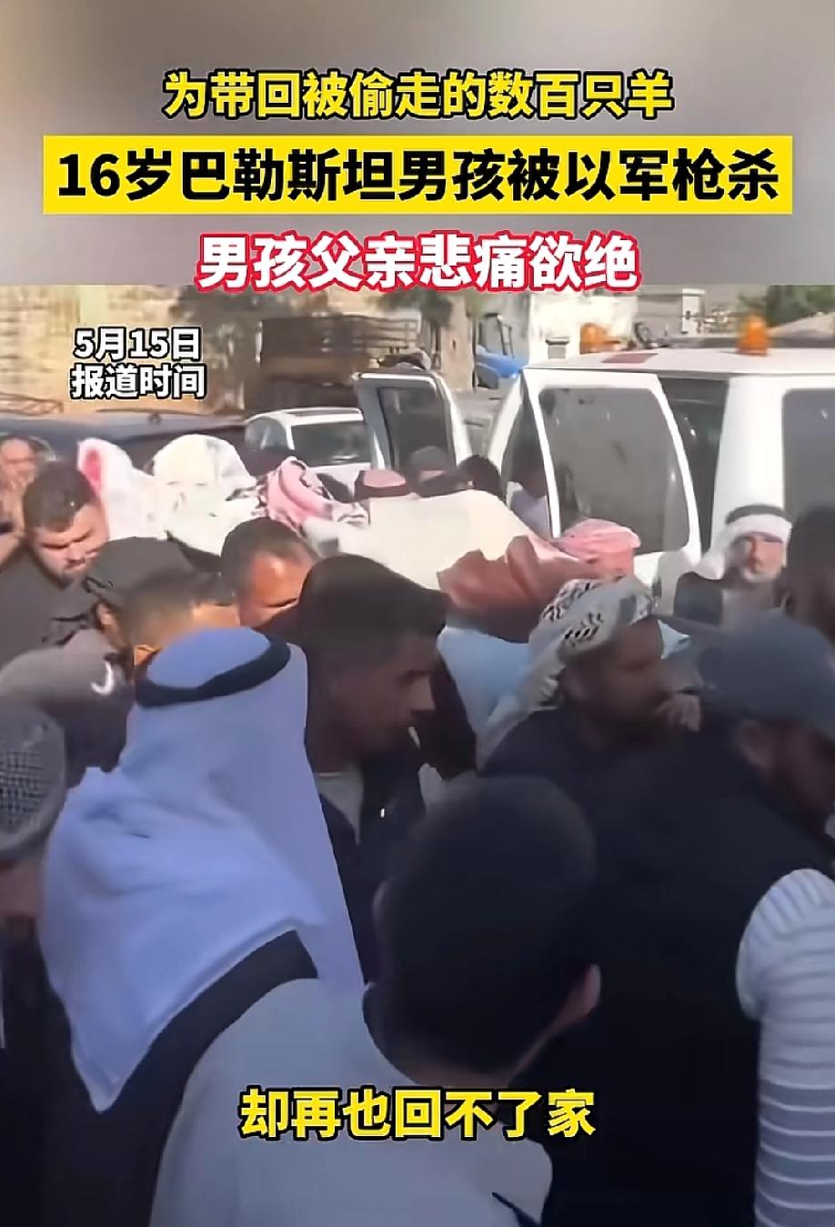 痛心啊！5月13日，约旦河西岸。一伙以色列定居者开着车闯进村子，把700多只羊连
