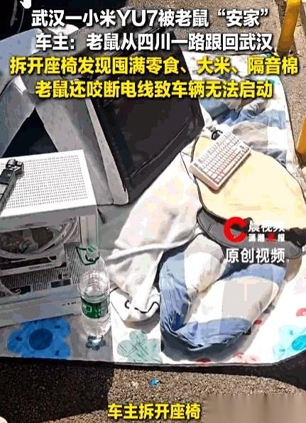 杨先生把车从四川开了一千多公里回武汉，刚停稳准备卸行李，整辆车彻底打不着火了。
