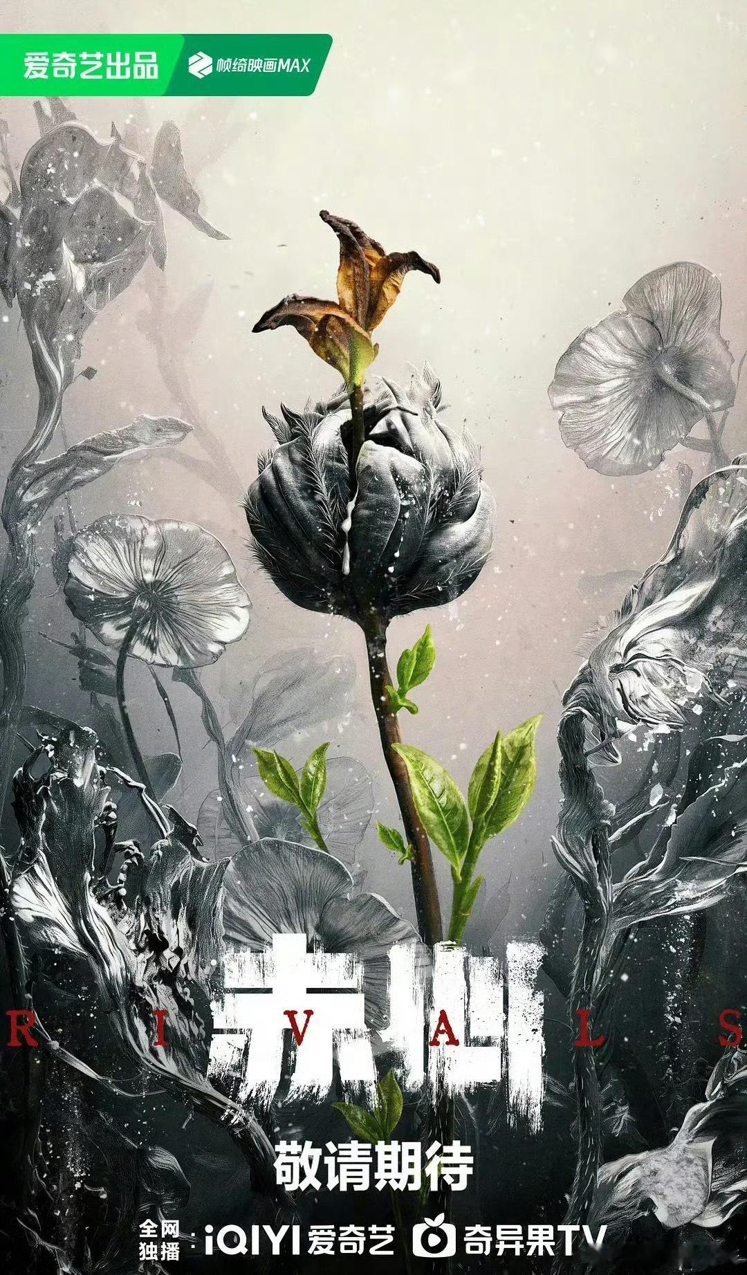 🍉《赤心》主演陈哲远，期待吗 ​​​
