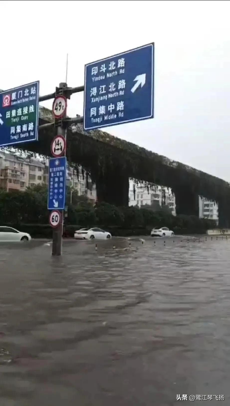 9.24暴雨，厦门同集路大量积水！
出行注意安全！
#秋日生活打卡季#