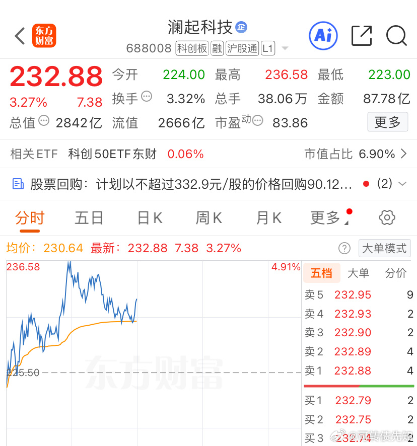 澜起科技 我们大仓今天最靓的仔a股A股股票财经