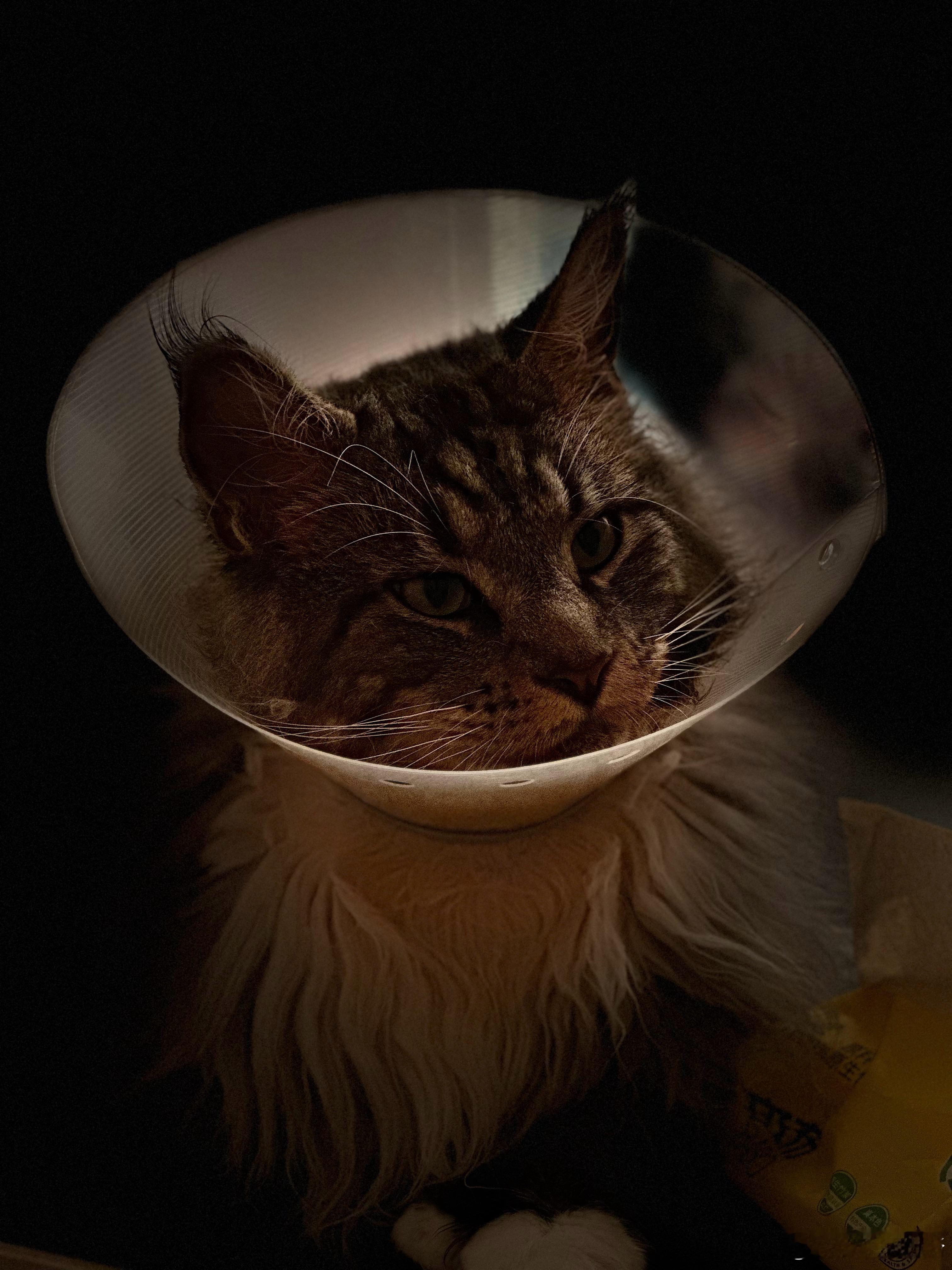 快赶上我的脚大了 ​​​