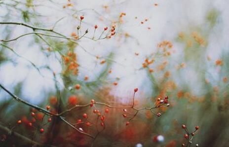 如何检验十二#星座#爱上了你 ，可以从小细节中体会：白羊耐心热情，金牛大方贴心双