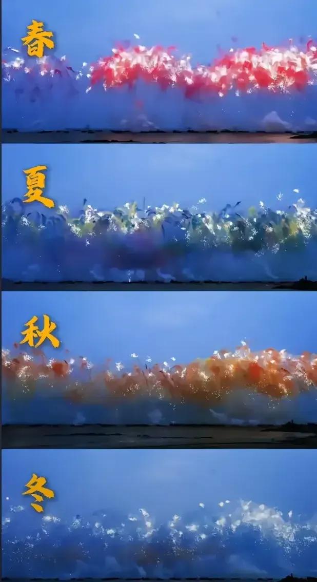 应粉丝的要求应高管的建议～…
所以直播所以辞退
真好
言听计从