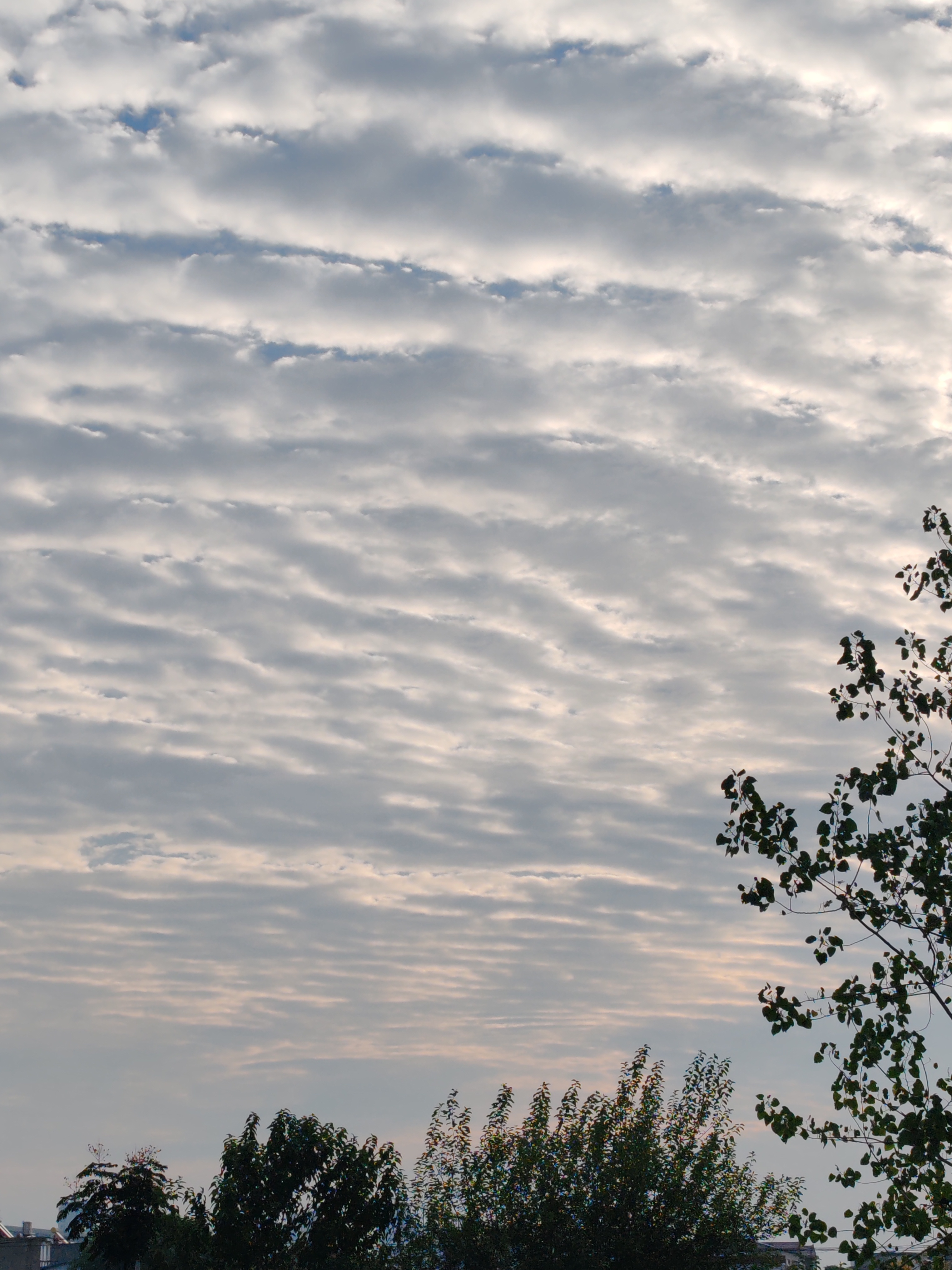 林允在剧中饰演女主角之一沈冉冉，一位从湖州来到北京追寻演员梦的“北漂”女孩。小沈