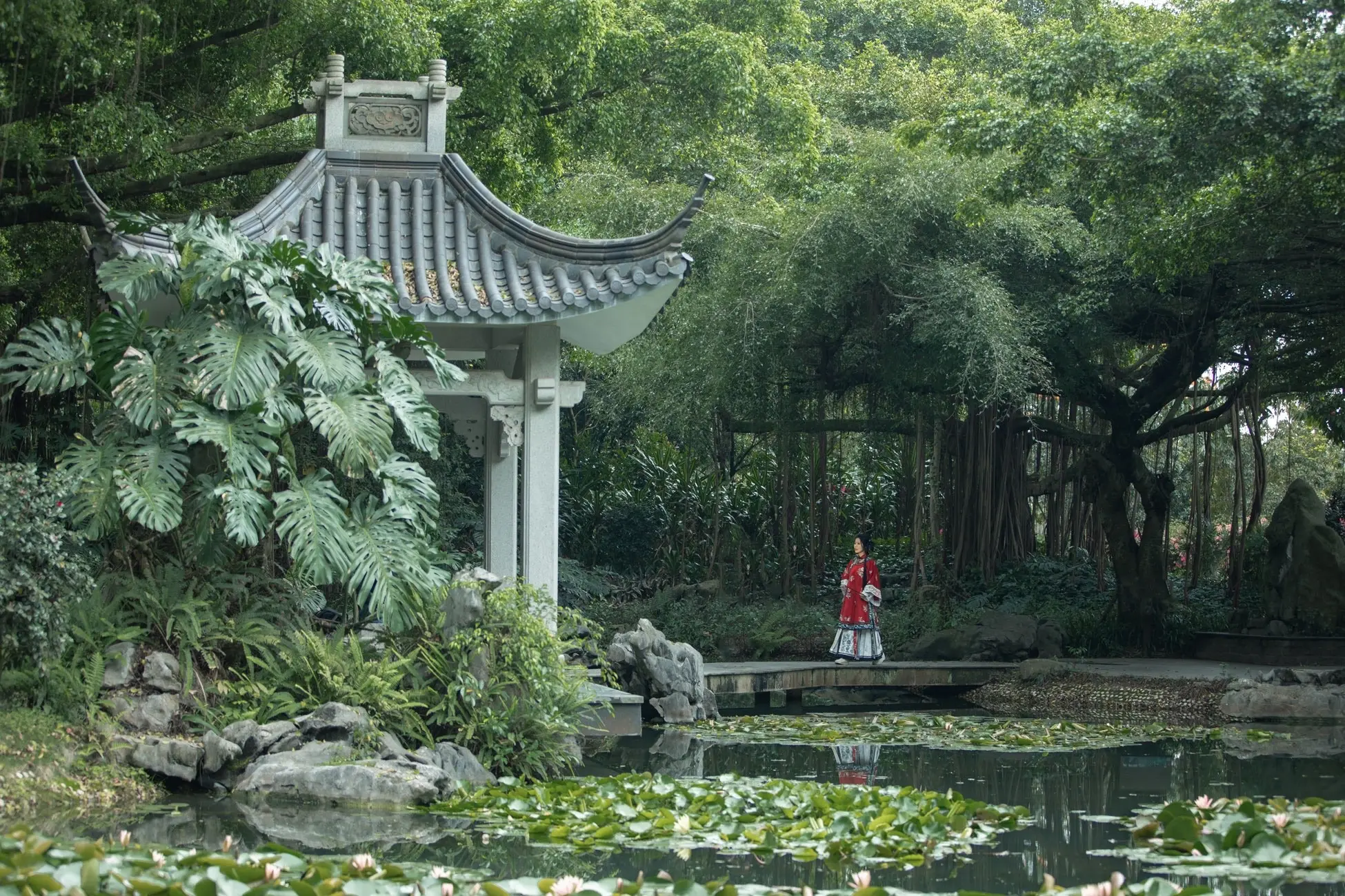 幕落又幕起，唯有那看客清醒。