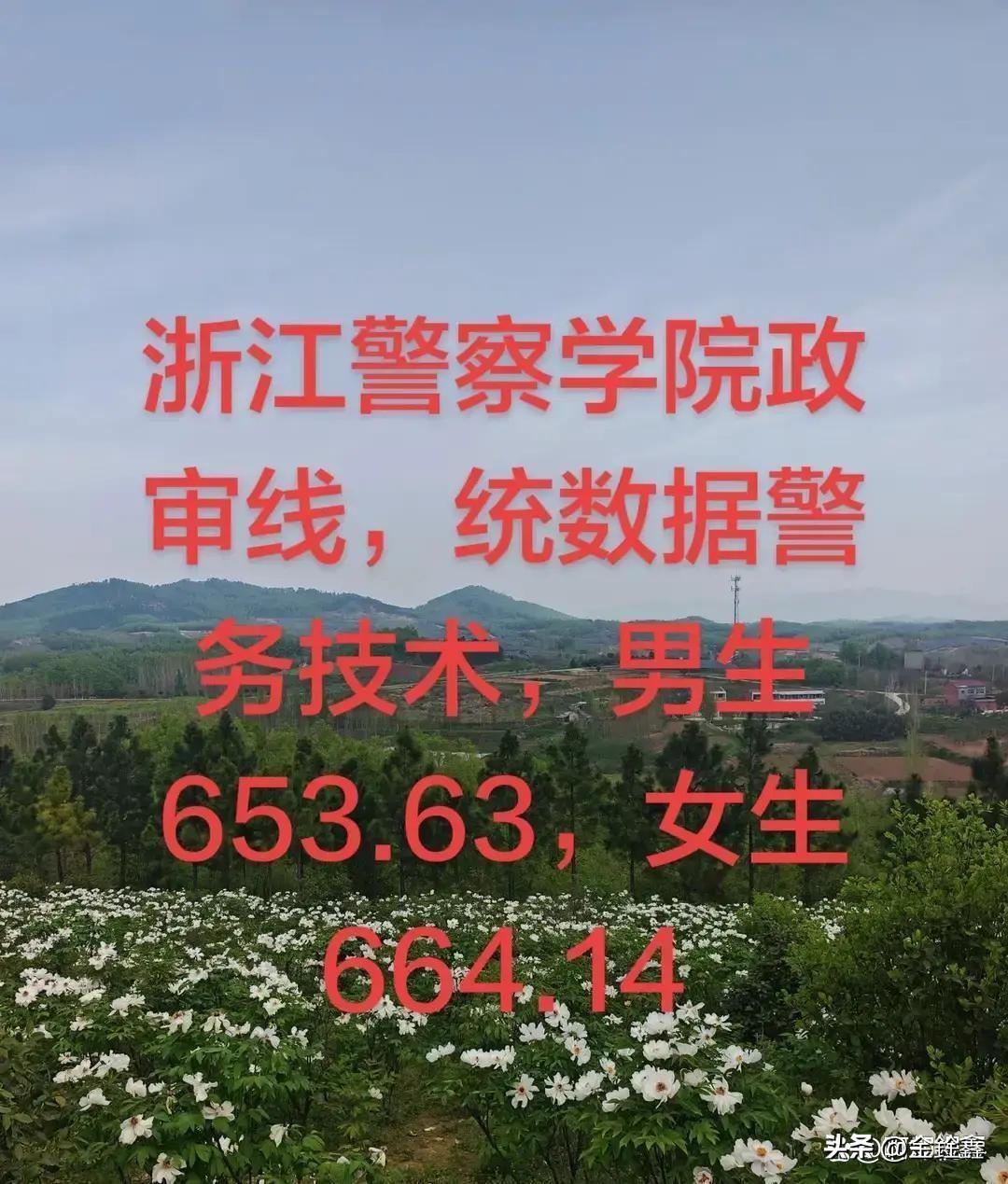 2026年高考提前批投档数据一公布，浙江考圈直接炸了锅！浙江警察学院统招数据警务