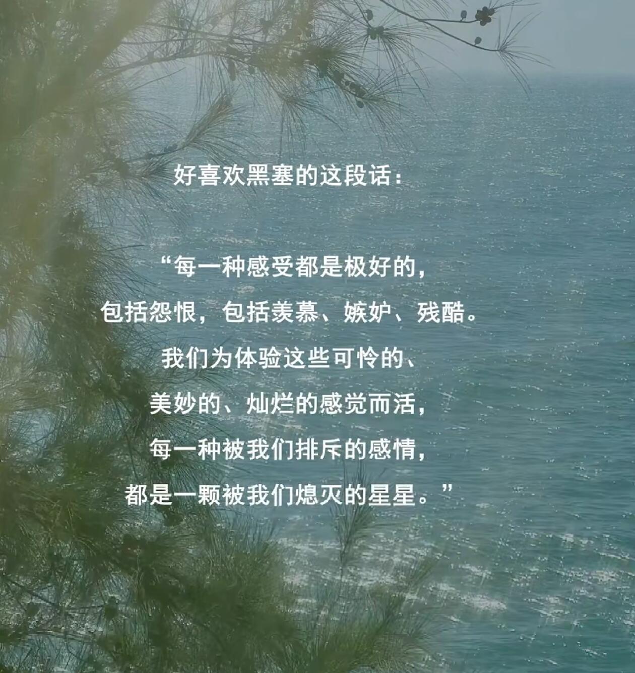 美好是我 丑恶是我 都是我每个过去的我进化成了现在的我。 