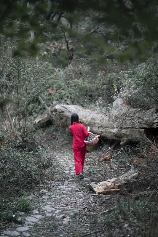深山女子秉贤淑，
担柴踏涧走溪途。
默默吞下生活苦，
念念不忘子孙福。     