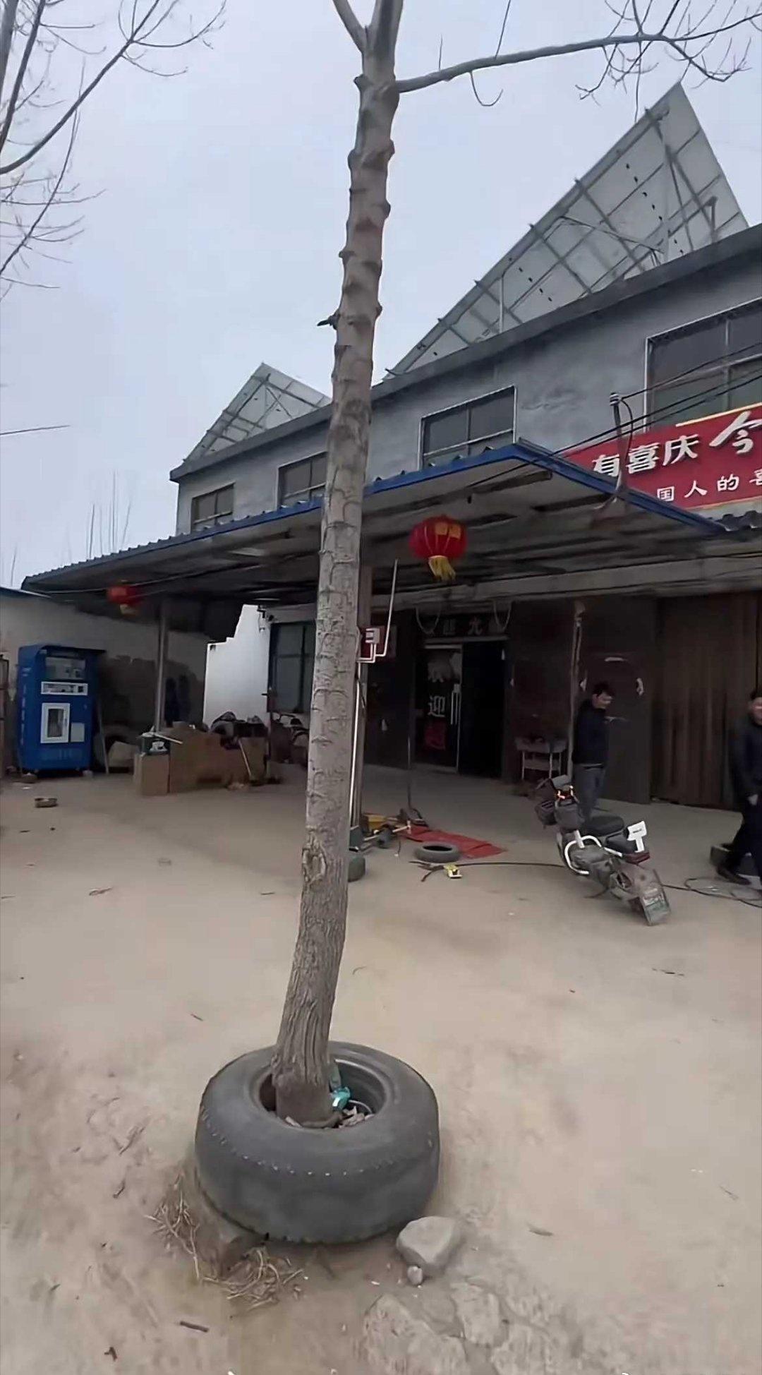 99%的人都猜不到这个轮胎是怎么放进去的！！ ​​​