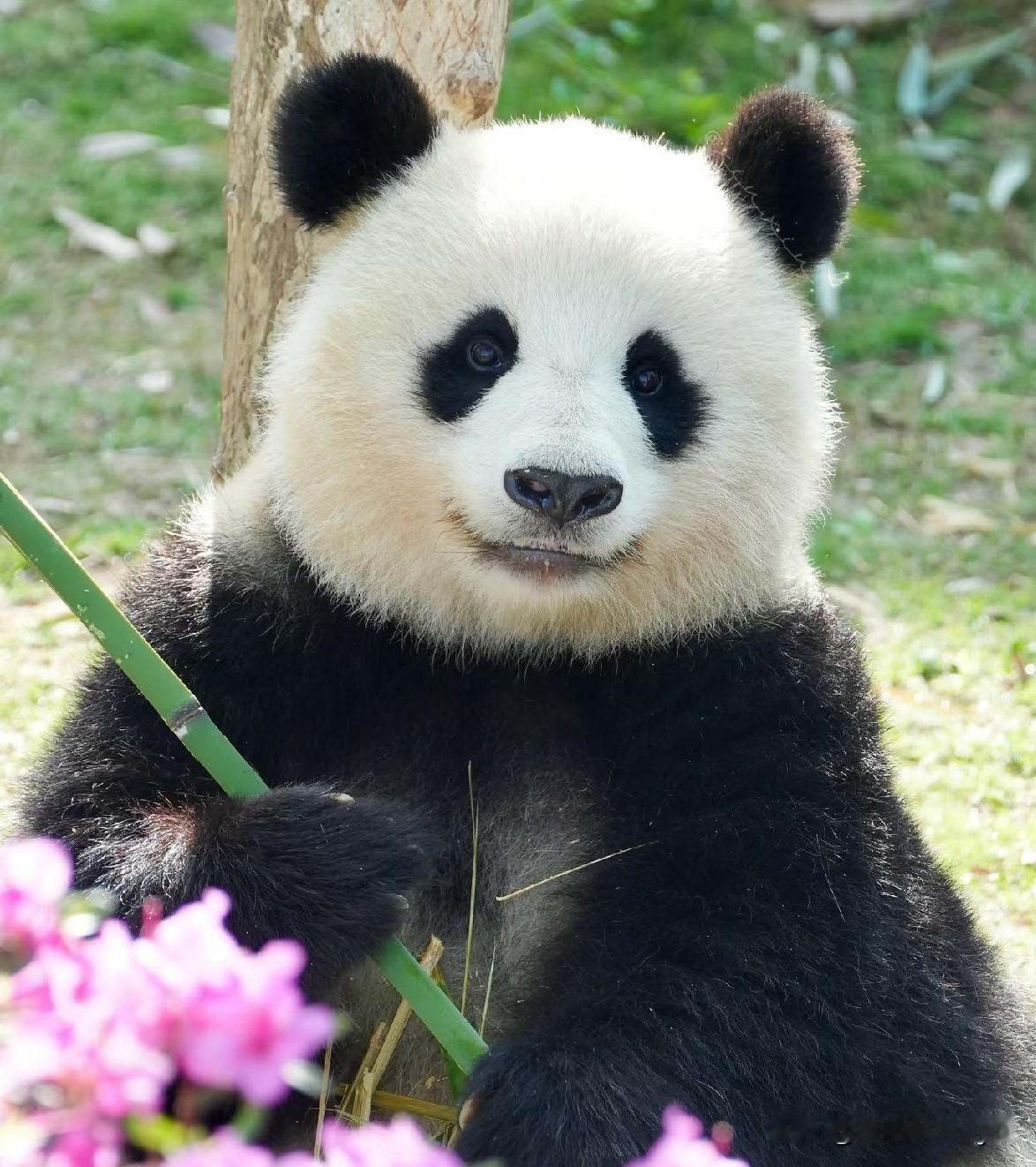 爱上北川是不是像呼吸一样简单？每次只要一看见北川，我的眼睛就舍不得挪开一秒，呼吸