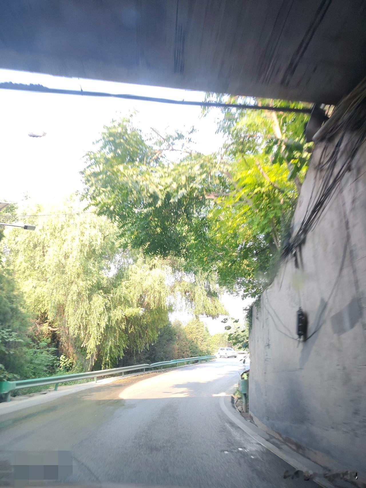 奉劝你们少穿黑衣服，容易出事故。
今天我从原点新城返回市区，开车差点撞上人了。