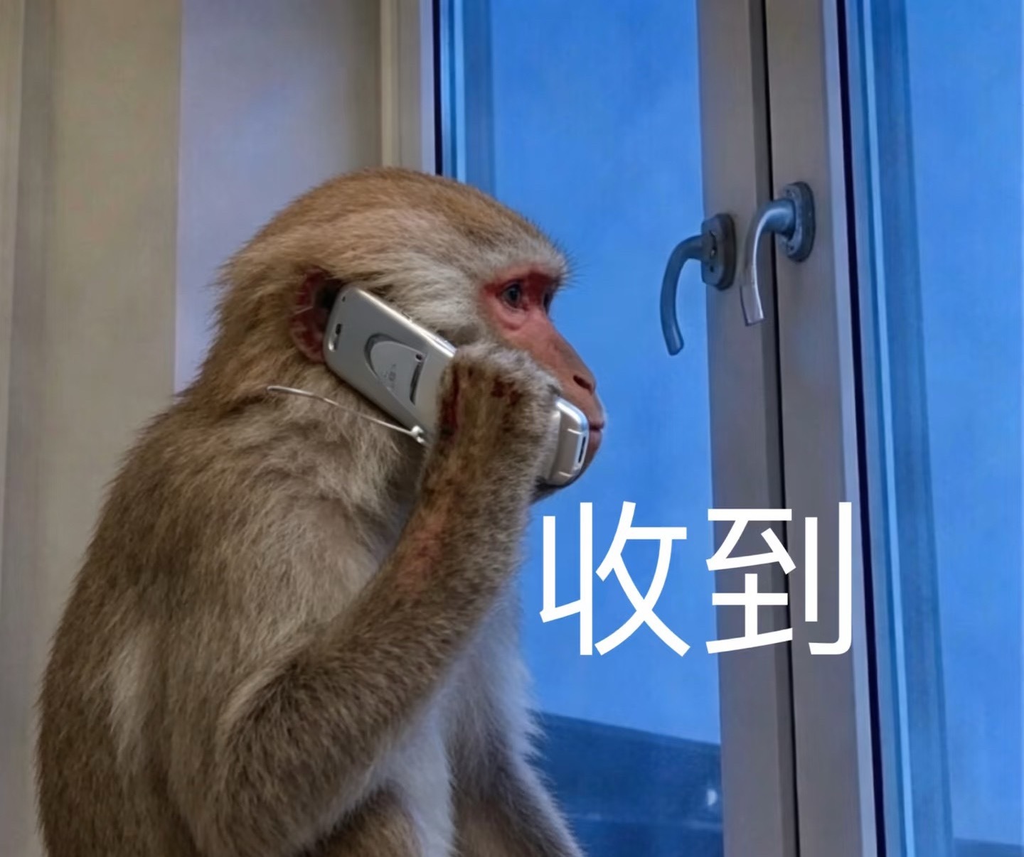 吴宣仪  所有五分都来发帖啊！马上1000w了！冲冲冲！！！吴宣仪爱上另一个我