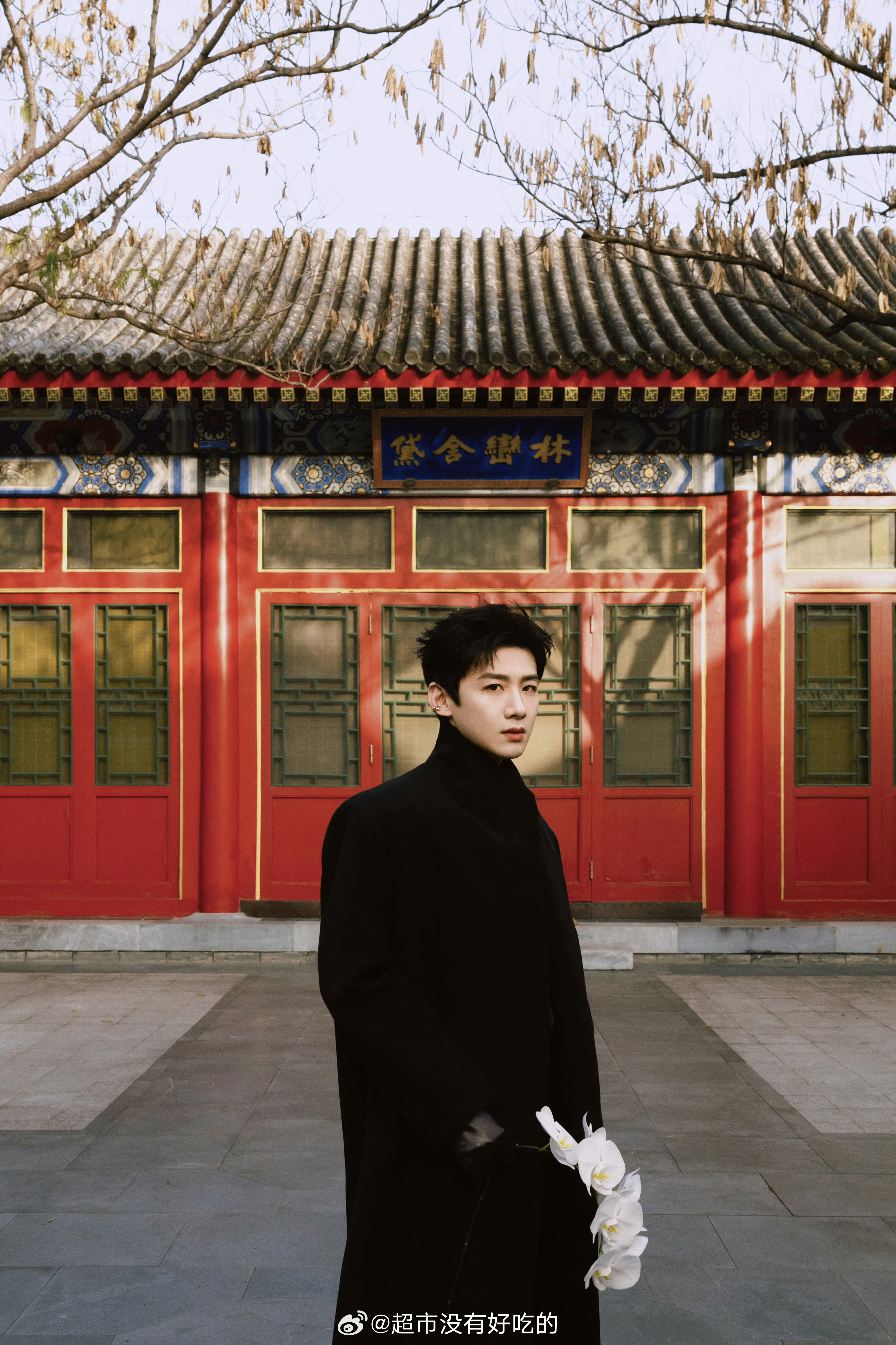 白敬亭工作室今天活动出图 ​​​