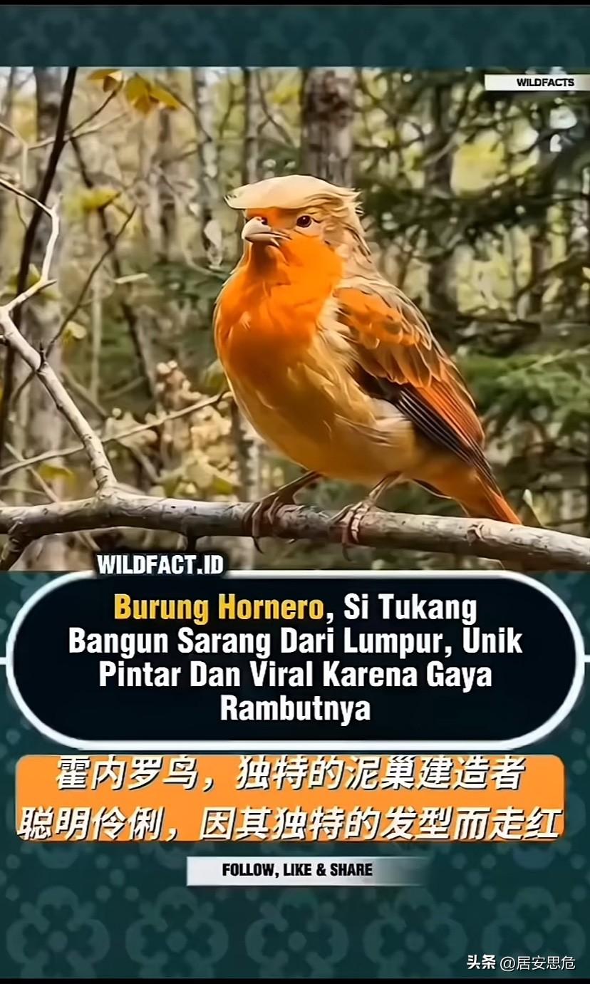 让大家见笑了，我真不是故意的。