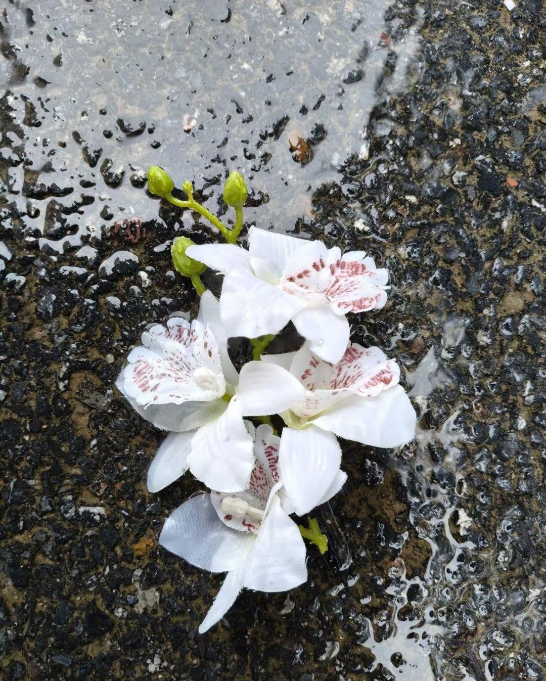 又是一年百花奖所以入围名单提名即是肯定所以意义就在于百花齐放群星璀璨从老戏骨沉淀