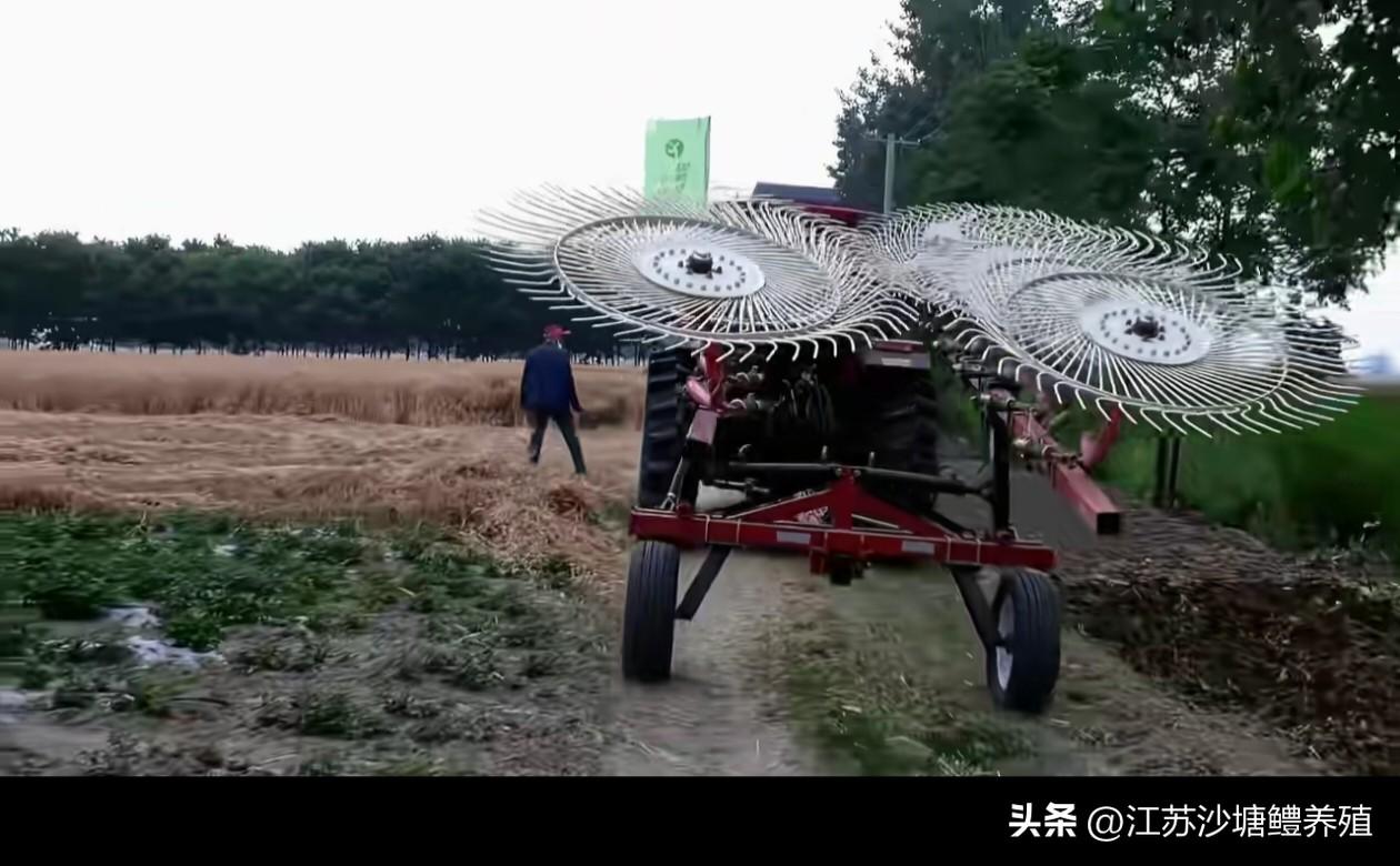 上千年这些麦秸就没有直接变成有机肥还田，
以前麦秆非常金贵，
盖草房，
苫屋顶，