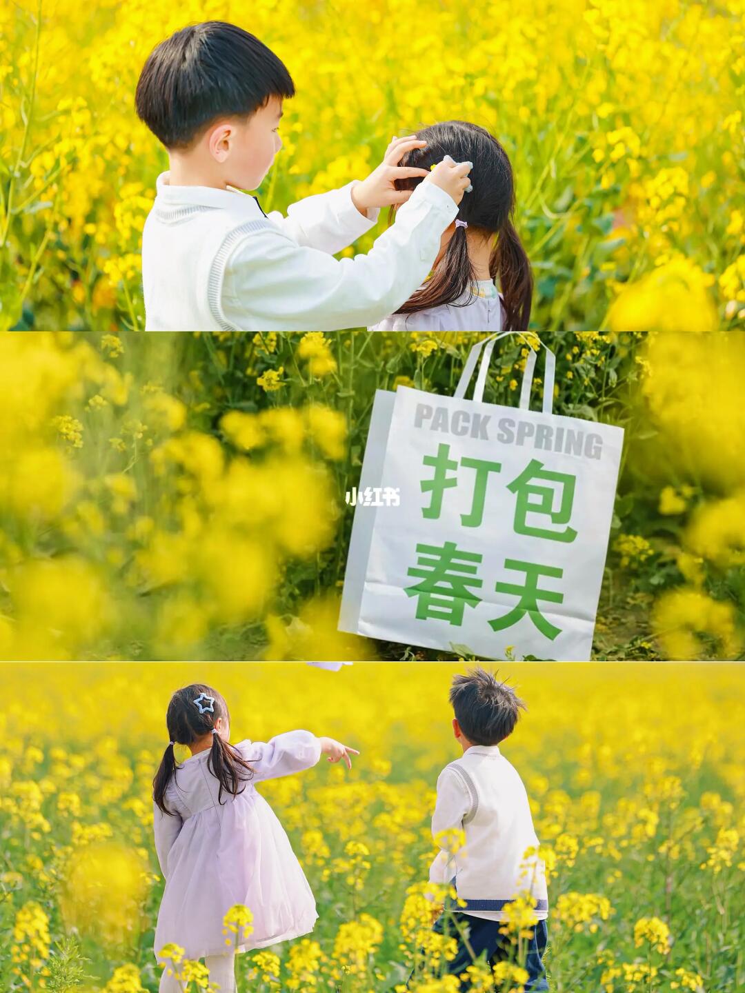 在成都‼️ 好像拍到了宫崎骏动漫里的春天🌼~