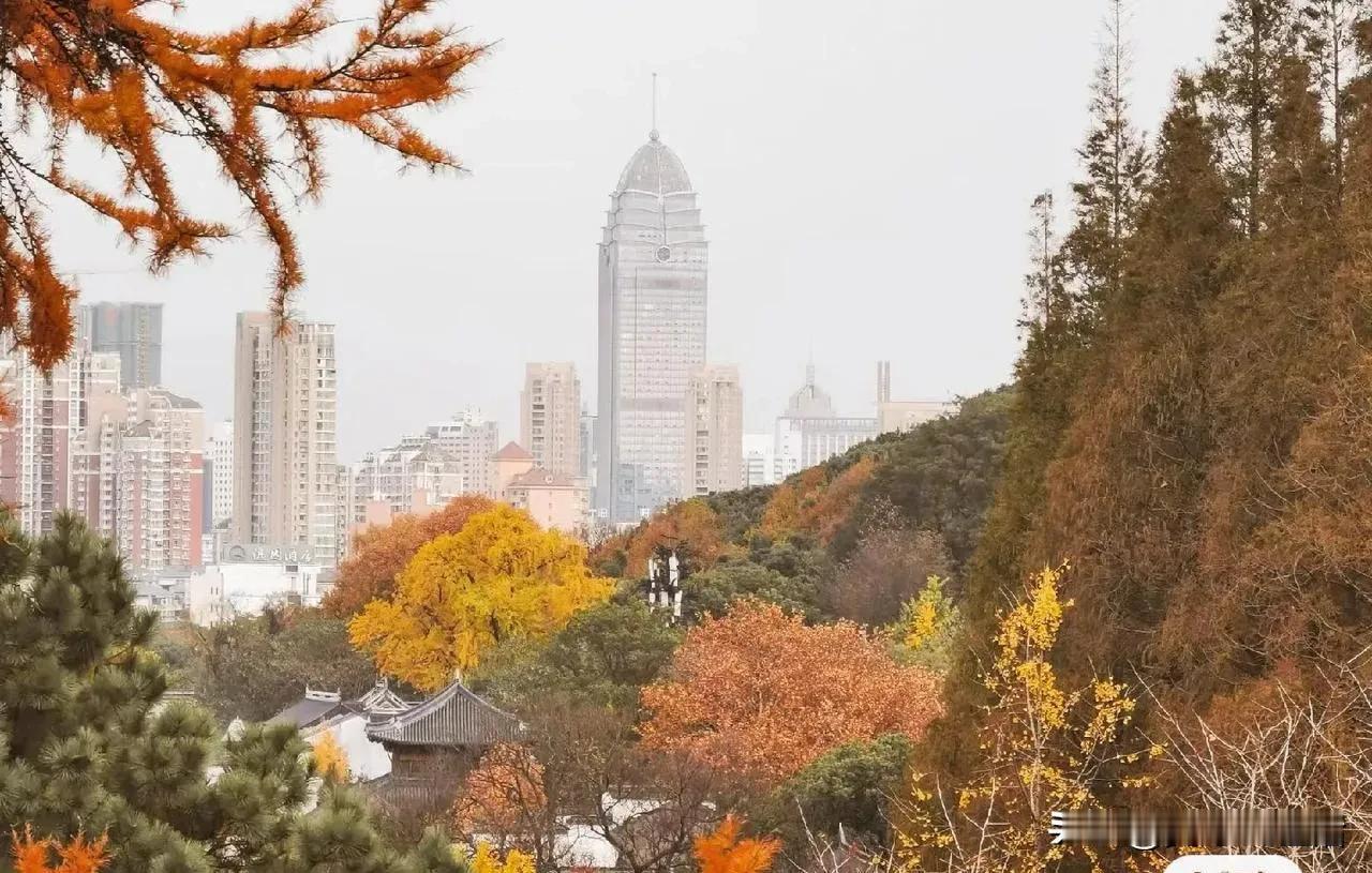 秋天的无锡真的美不胜收！
层林尽染配上江南古建的静谧安详，真有种走进中国画的美感