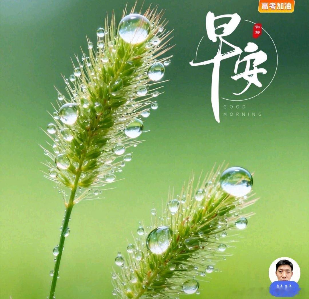 悠然梅心语 💗🎀🌴不是人人都懂你   每个人立场不同，终究没法都共情。不必