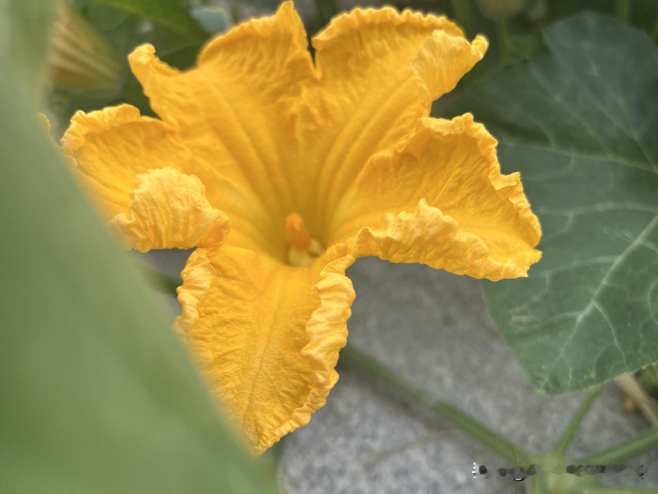 设定一个节日，是让相关的人有幸福感和自豪感。感觉值得去庆祝，去纪念。
现在的教师