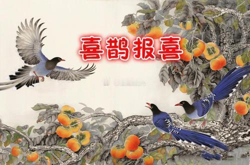 喜鹊枝头叫，是有好预兆，祥云天上绕，好运将来到 