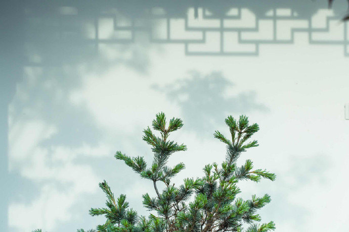 窗前二分色，独占一天秋。——网络作者未详​​​