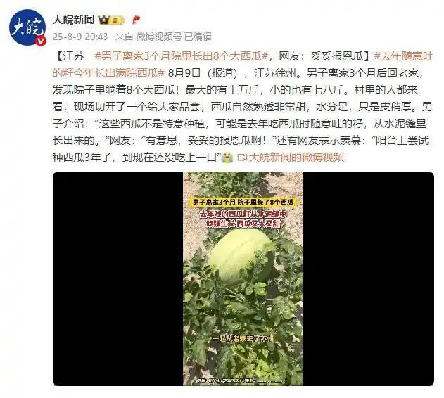 “无心插柳柳成荫！”男子三个月没回老家，打开门的一刹那，惊呆了，院子里居然凭空出