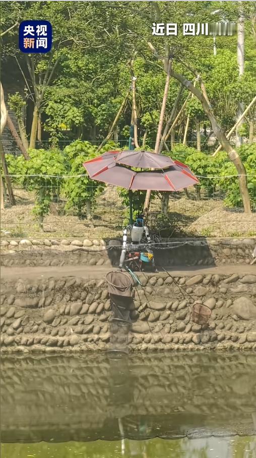 “起猛了？”4月27日报道，四川成都，一处水塘边上，有个机器人在钓鱼。它端在凳子