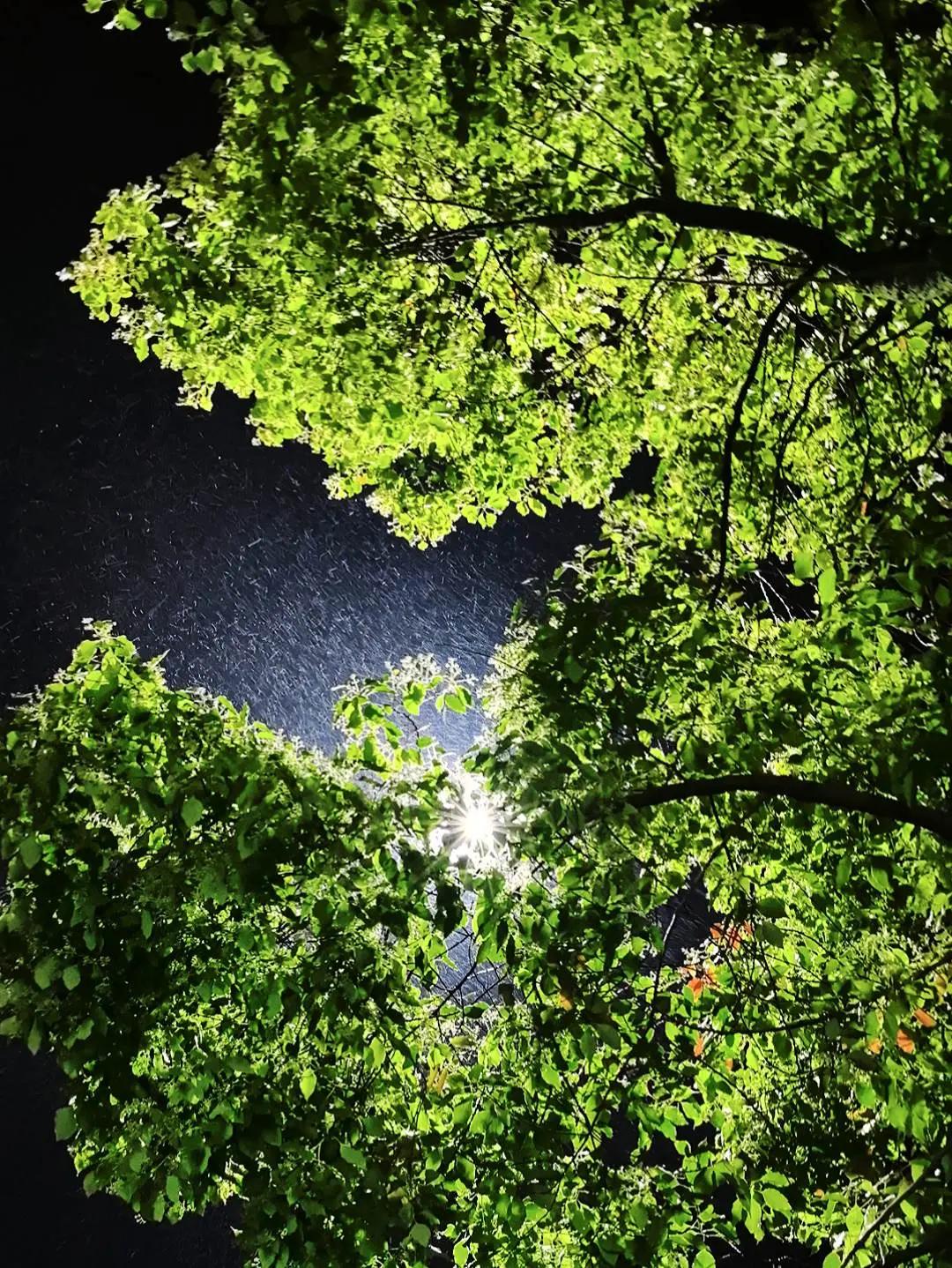 别留恋，沿途万般风景都不属于自己。“往后看，全是心酸；往前走，才会心安。”把遗憾