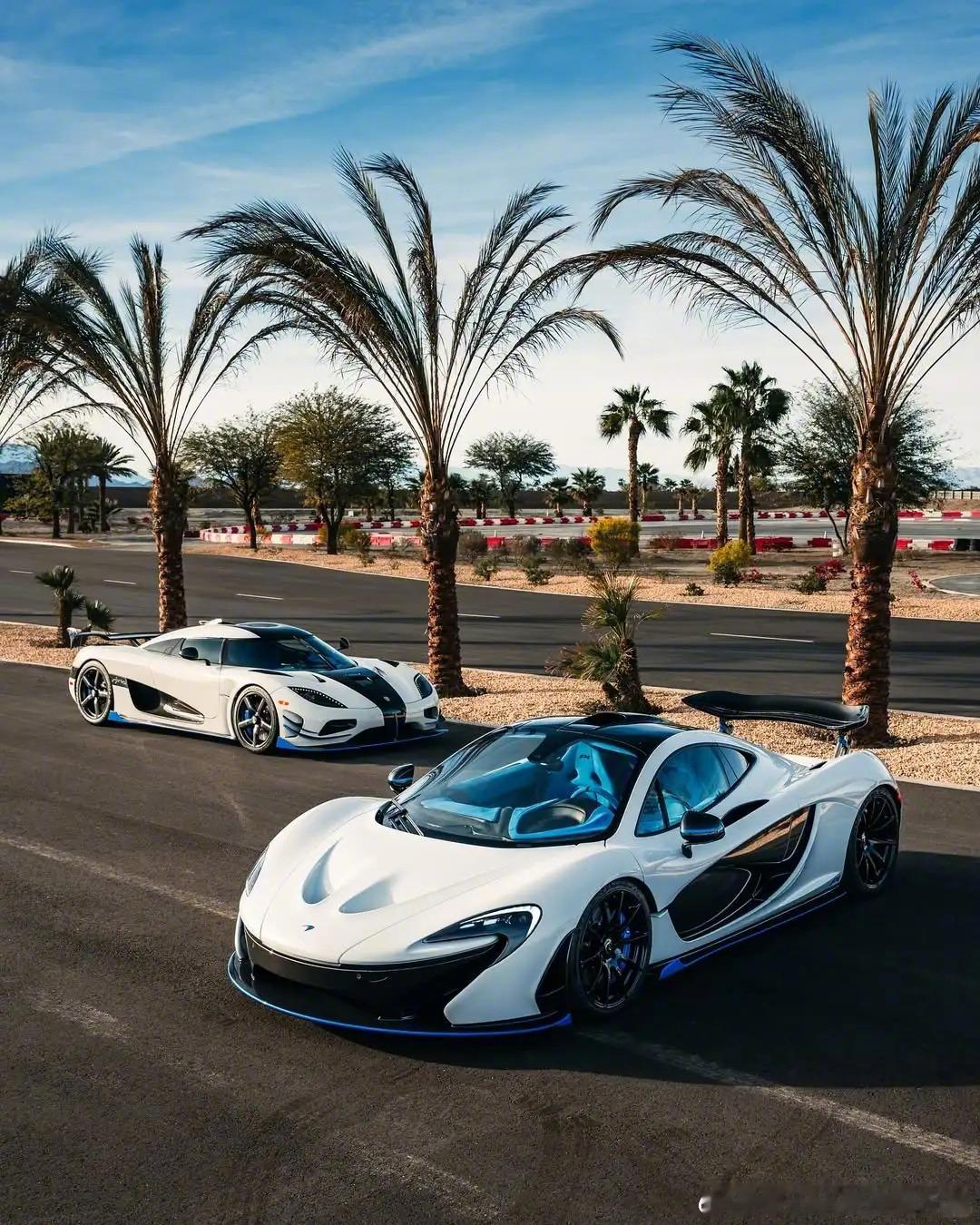 McLaren P1 & Koenigsegg AgeraRS1，成年人一个也要