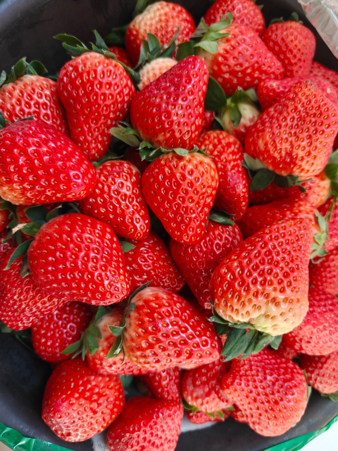 今日份快乐是🍓+🍒给的