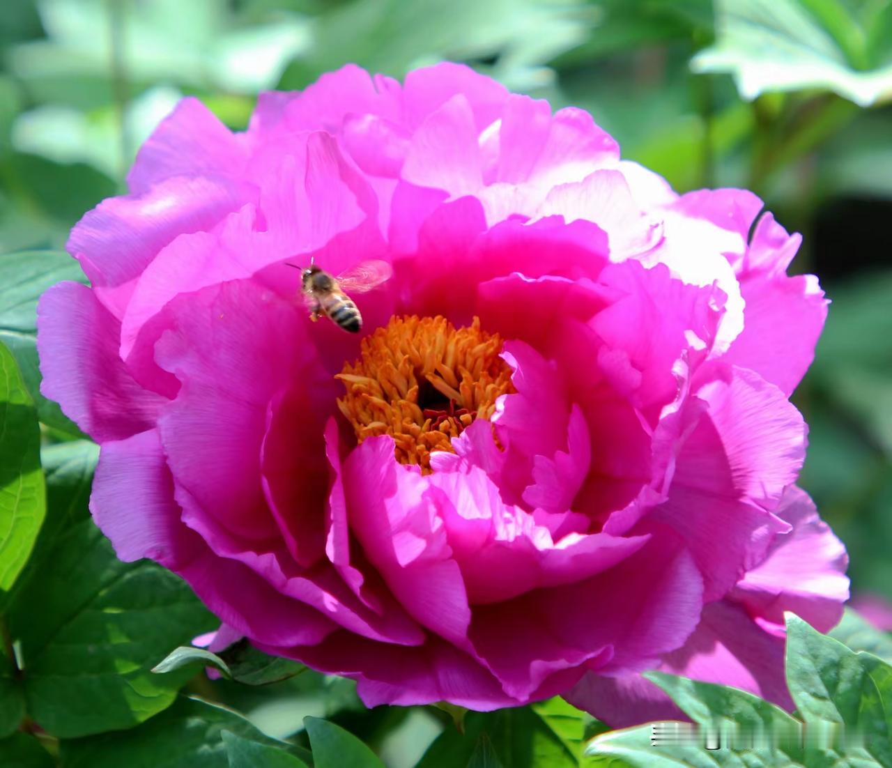 当你年纪大了,子女真的会孝顺吗? 当年纪大了，子女是否孝顺还真不好说。现实里，孝