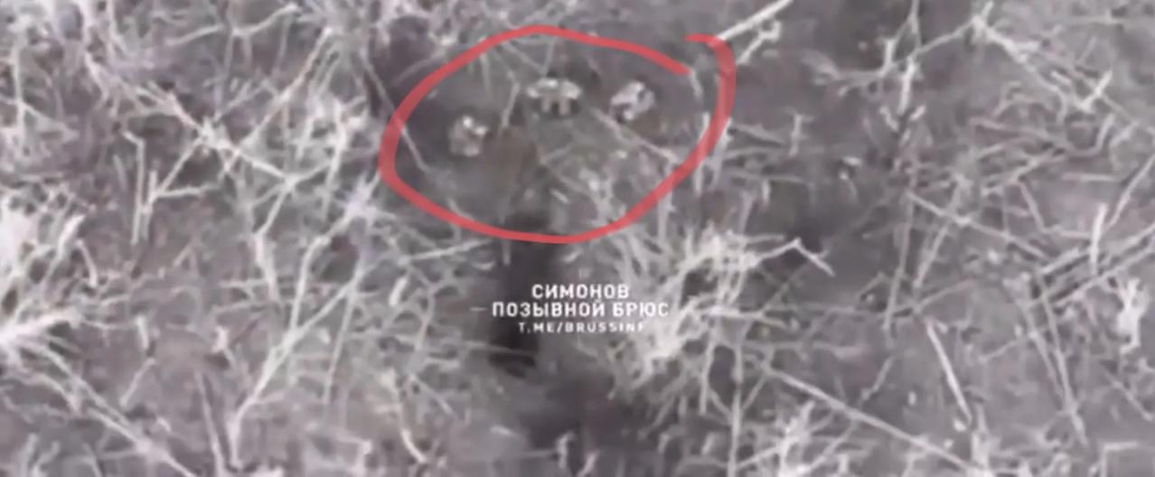 顿涅茨克顿河康斯坦丁诺夫卡方向再次出现乌军向俄军无人机投降的事情。
呼号为“察列