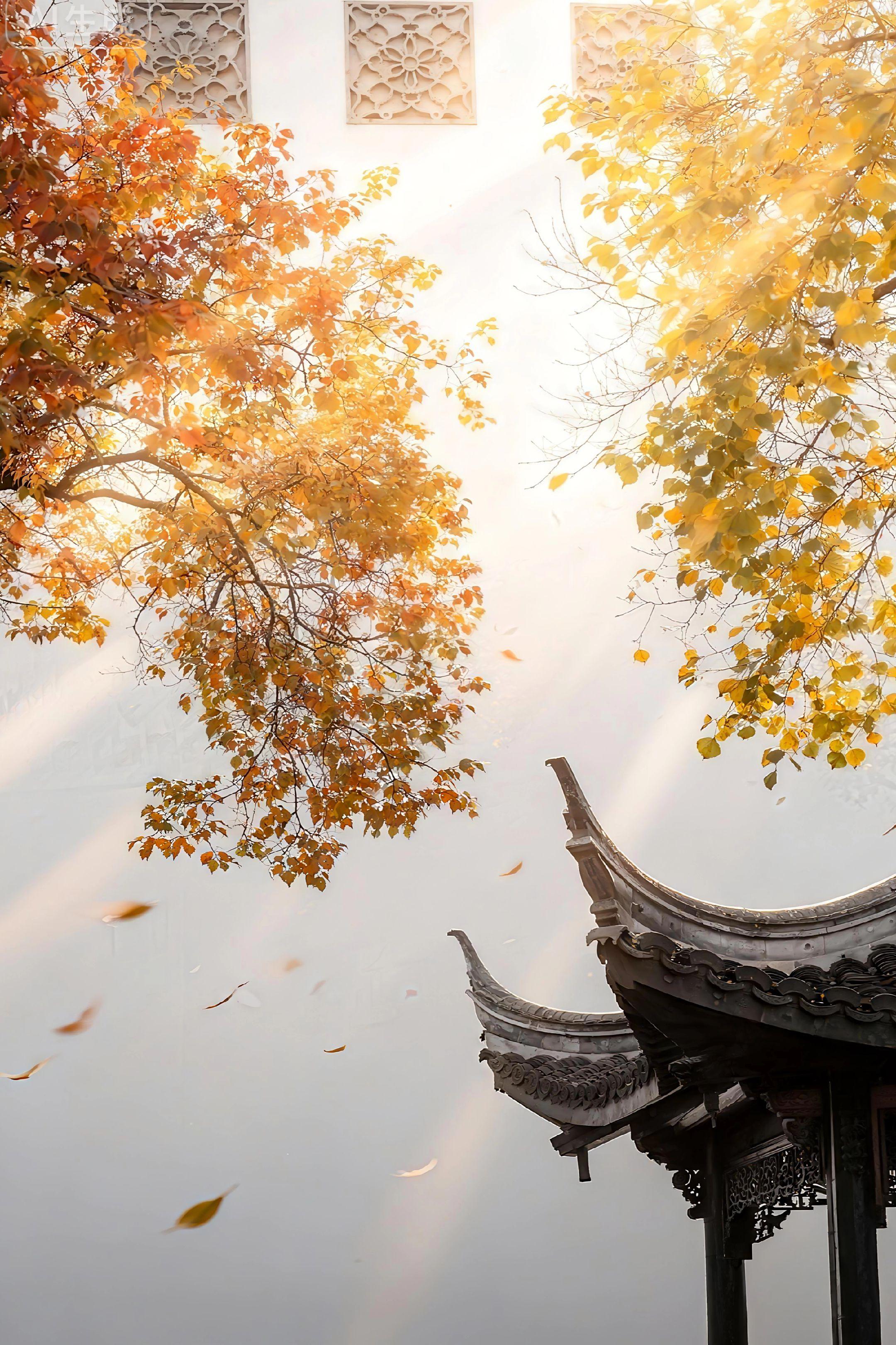 为了这棵乌桕树 11月特地来了趟南京。不得不说，金陵的秋天真的太美了 ...