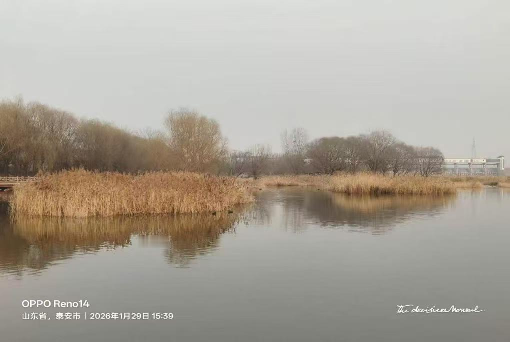 秦岭笑谈【阡陌寻光：解码秸秆利用现状，共筑黄河生态屏障】曲阜师范大学寒假社会实践