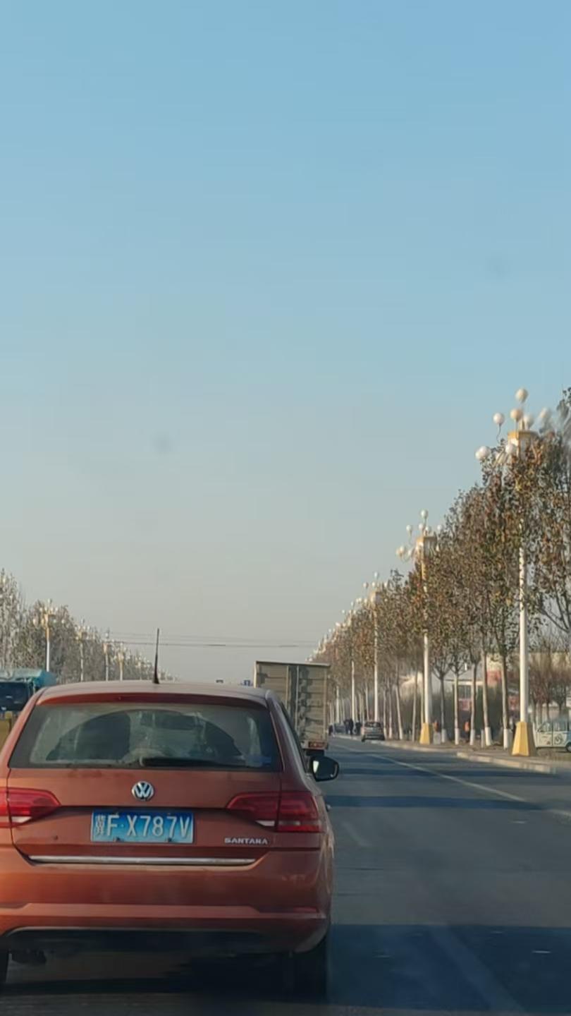 分享手机随拍的照片