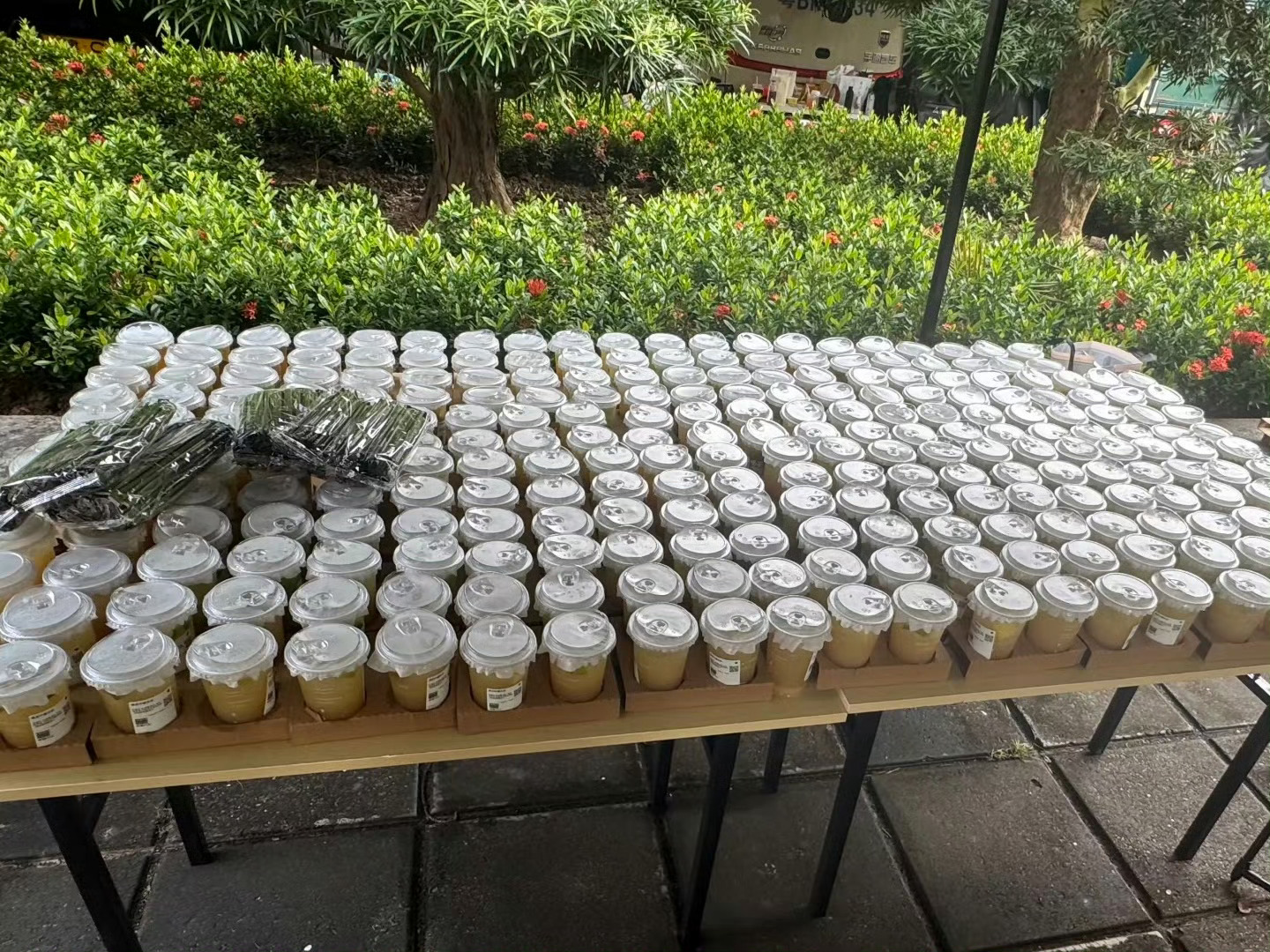 爱在无尽夏第一杯🧋 