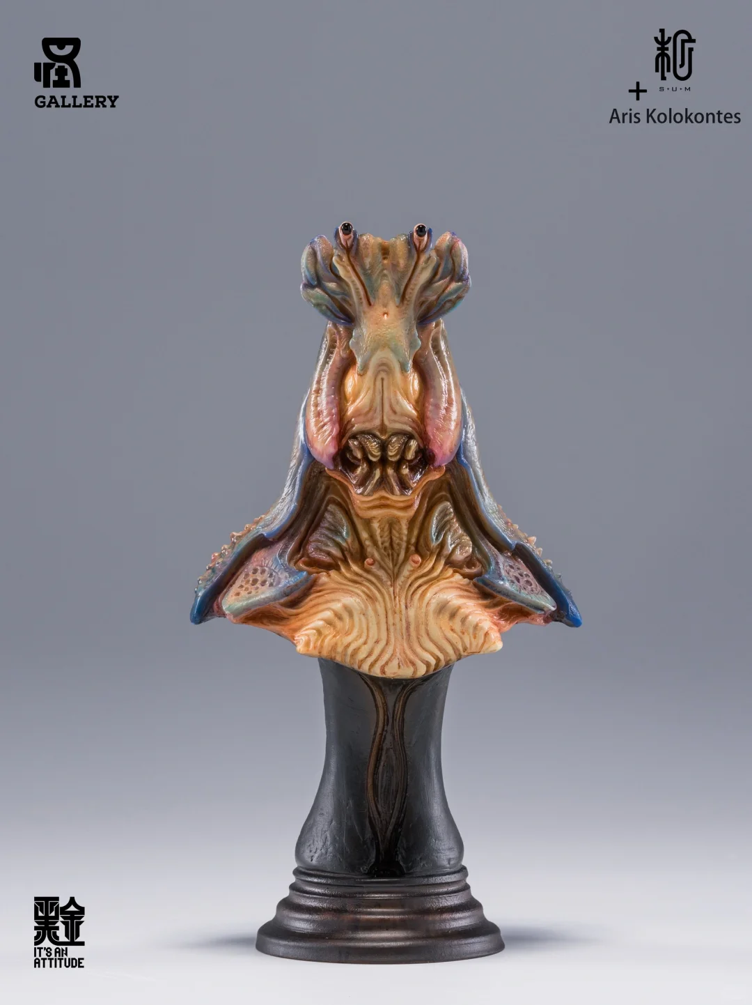 上海WF新品上线预告！